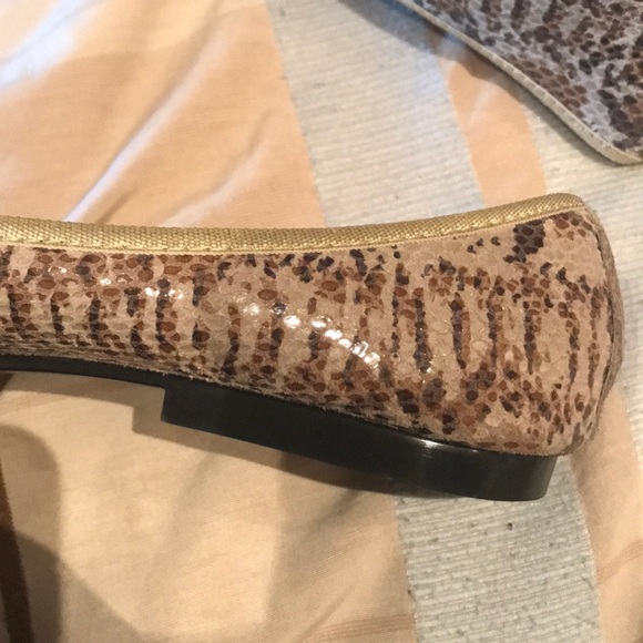 Snake print patent with gold ribbon , ballet flat - Picture 4 of 9